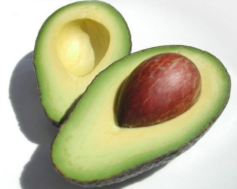 Avocado oil (persea gratissima)