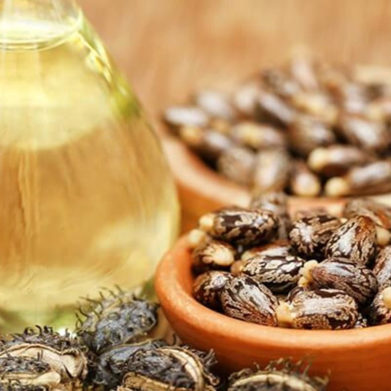 Castor Oil (riccinus communis)