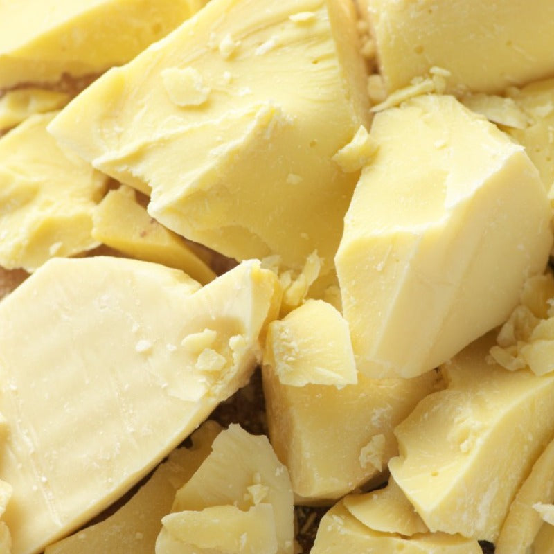 Cocoa Butter (theobroma cacao)