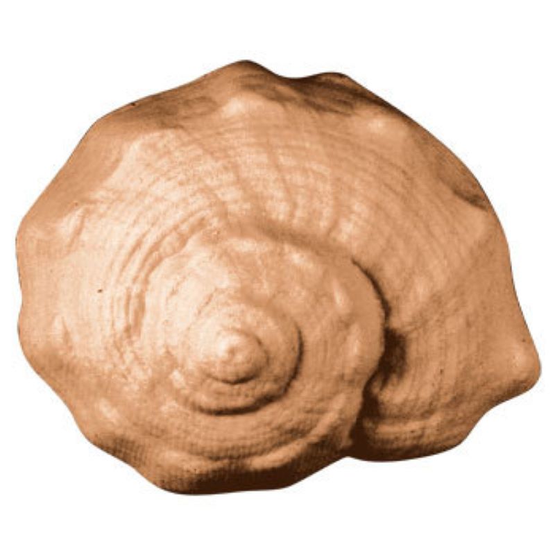 Conch shell soap mould