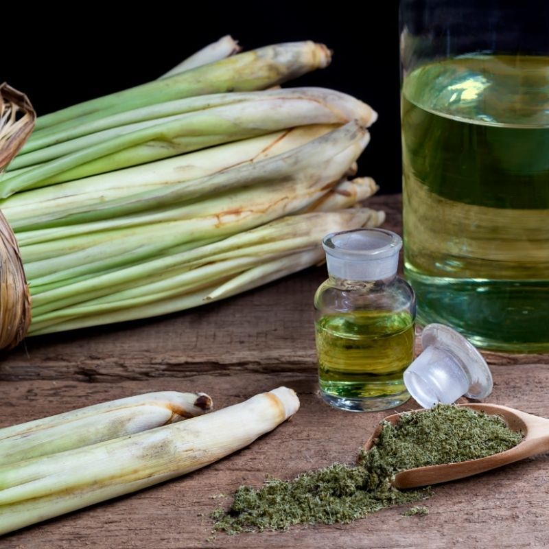 Lemongrass fragrance