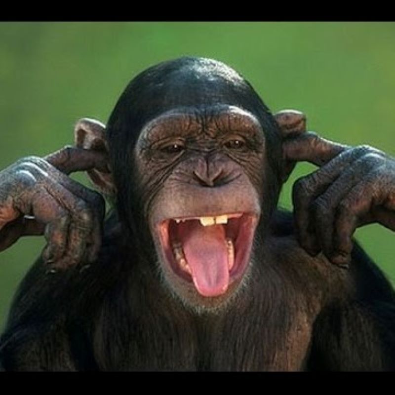 Monkey Farts fragrance