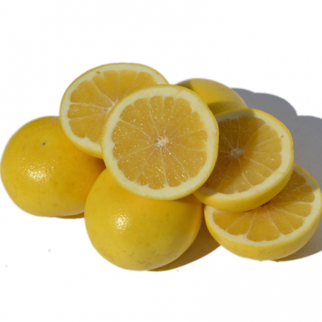 Grapefruit (white) essential oil (citrus paradisi)